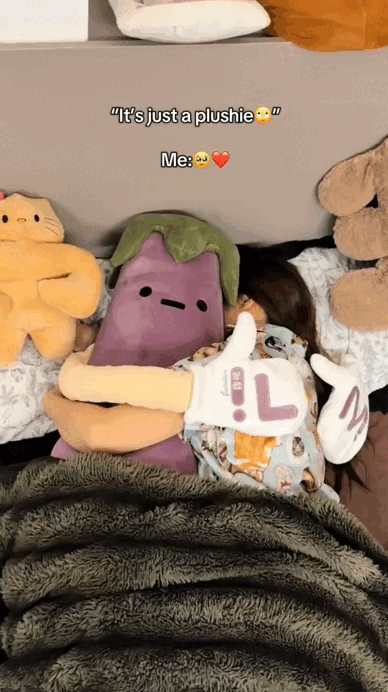 FANZONE  King Sleep Buddy